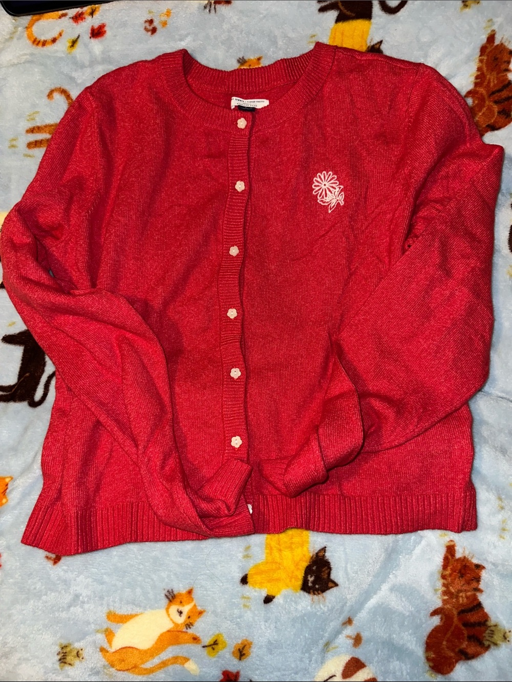 American Eagle Outfitters Red Floral Embroidered Button Cardigan